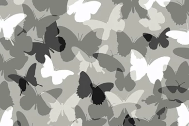 Candice Olson Black Camo Wallpapers