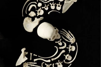 The Creepy Art Of Human Bones Hacking Tips,Articles,Download ...