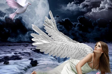 White Angel >> HD Wallpaper, Get It Now!