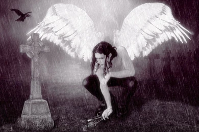 BLACK AND WHITE ANGEL WALLPAPER   (