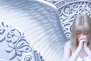 White Angels 14 Wide Wallpapers   Hivewallpaper.com