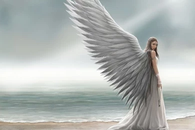 White Angel Wallpapers Hd Images