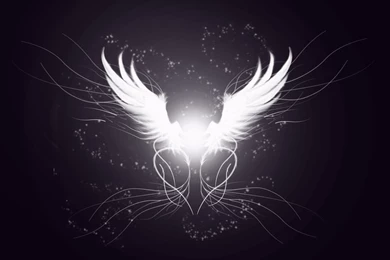 Angel Wings Wallpapers   Wallpapers Cave