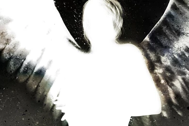 Download Wallpapers 2048x1152 Abstraction, Shape, Feathers, Angel ...