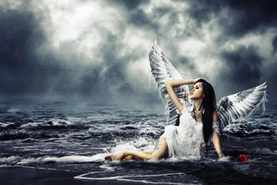 WHITE ANGEL AND RED ROSE WALLPAPER   (