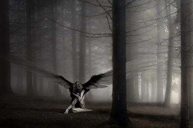 Angel Normal 1024x768