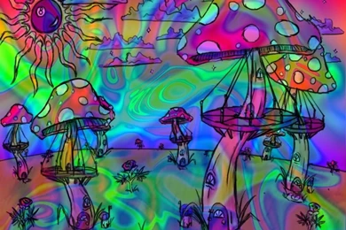 Hippie Backgrounds   Wallpapers Cave