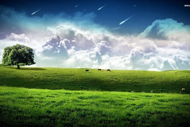 Green Field Wallpapers   Fantasy Wallpapers