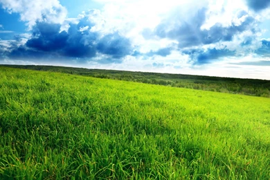 1920x1080 Green Field Desktop PC And Mac Wallpapers