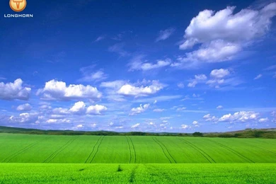 Wallpapers Green Field 1024x768