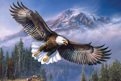 BY JAMES MEGER BALD EAGLE WALLPAPER   (