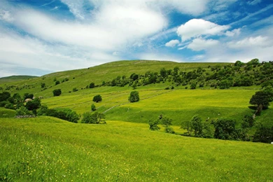 Green Field 1440x900 Wallpapers, 1440x900 Wallpapers & Pictures ...