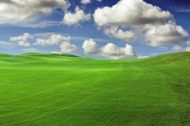 Green Fields   Green Wallpapers (20340138)   Fanpop