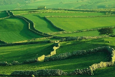 Green Fields   Green Wallpapers (20340137)   Fanpop