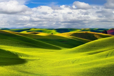 Green Fields Wallpapers Nature Wallpapers