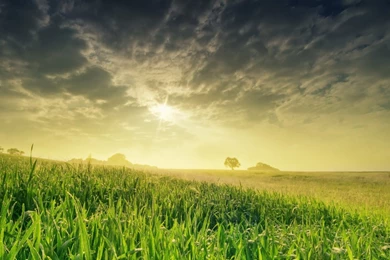 1366x768 Sunrise Over Green Field Desktop PC And Mac Wallpapers