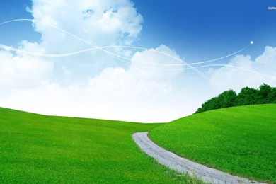 Road Through A Green Field Wallpapers   Digital Art Wallpapers
