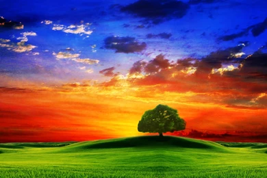 Computer Themes Free Download   HD Wallpapers Pretty