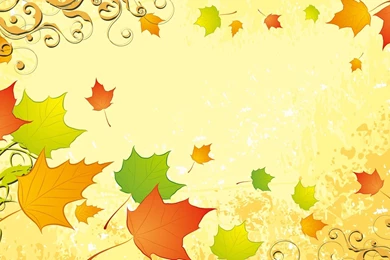 Simple Fall >> HD Wallpaper, Get It Now!