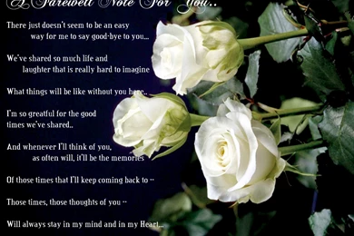 Funny Goodbye Images   Wallpapers HD Wide