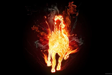 Download 1920x1080 Fire Horse Wallpapers