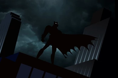 Cartoon Network Batman DC Comics The Dark Knight Batman The ...