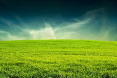 Beautiful Green Field Widescreen Wallpapers