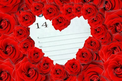 14 Feb Red Rose Day Valentine Wallpapers HD For Desktop