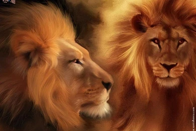 Nature Wallpapers Free Photos: Santa Banta Natural Wall Papers