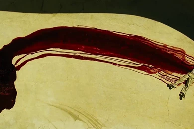 Jestingstock.com Flying Lotus Cosmogramma Wallpapers