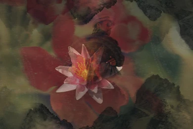 Flying Lotus Wallpapers By Bsxguy On DeviantArt