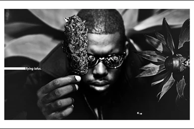Flying Lotus By Deve09 On DeviantArt