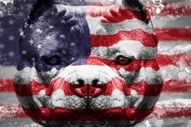 Download Gratis Amerika Wallpapers Background,Gratis Amerika ...