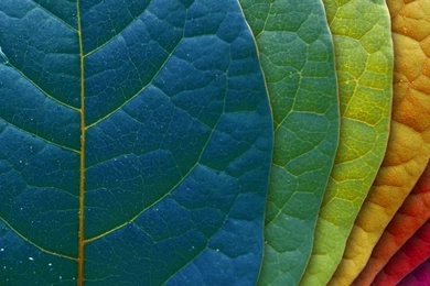 Imac Nature Wallpapers High Quality Resolution