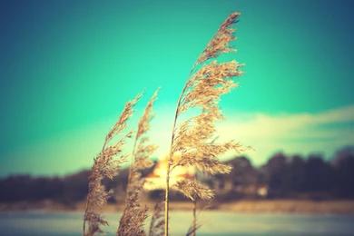 Tumblr Wallpapers 364