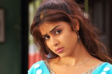 South hot actress Genelia D'souza hd wallpaper free download