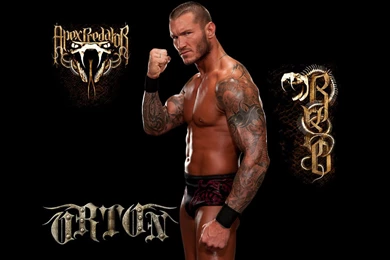 Randy Orton Wallpapers