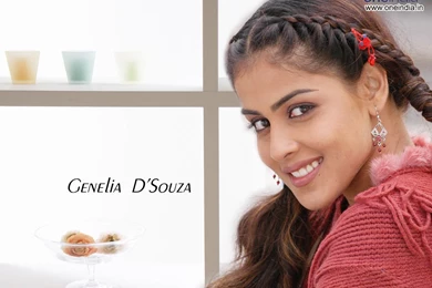 Wallpapers Naturen Actress Genelia D Souza Pack Fetch 1024x768 ...