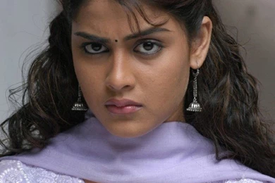 Genelia Actress Photos 100   High Quality Photo Gallery,actress ...