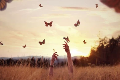 Photography Tumblr Hd Backgrounds Wallpapers 96 HD Wallpapers ...