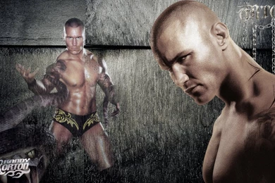 Randy Orton Wallpapers