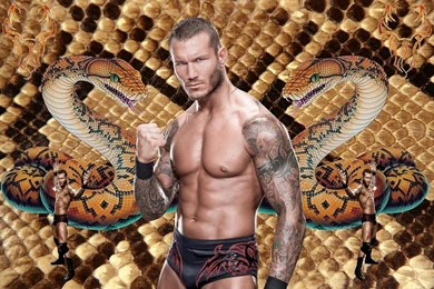 Randy Orton Hd Wallpapers 2013