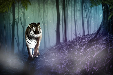 Cgi Tiger >> HD Wallpaper, Get It Now!