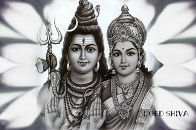Mahadev And Parvati Wallpapers   1024x768   163350