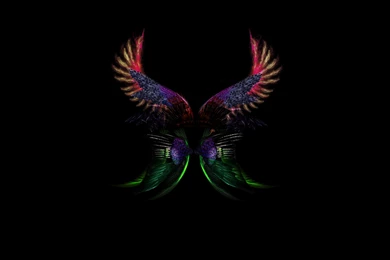 COLOURFULL WINGS Wallpapers By Jeshans On DeviantArt