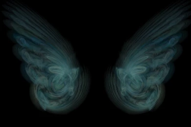 Angel Wings Wallpapers   Wallpapers Cave