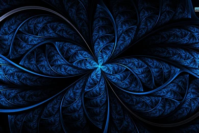 Wings Wallpapers   Abstract Wallpapers