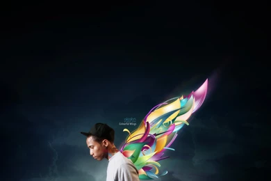 Colourful Wings Wallpapers