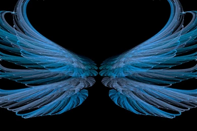 Jestingstock.com Blue Wings Wallpapers