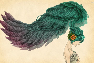 Woman Has Wings Instead Of Hair Wallpapers   Artistic Wallpapers ...